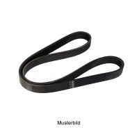 V-ribbed belt 5K1095