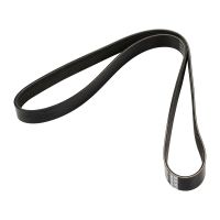 V-ribbed belt 7PK1334S DAYCO