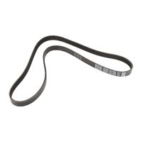 V-ribbed belt