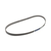 Serpentine belt