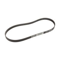 Serpentine belt