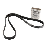 V-ribbed belt