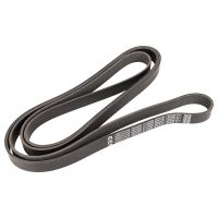 V-ribbed belt
