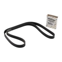 V-ribbed belt 6K1395S