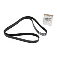 V-ribbed belt 6K1842