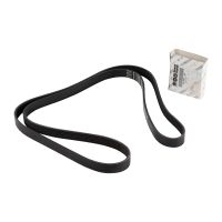 V-ribbed belt 6K1855