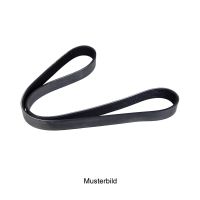 V-ribbed belt 7PK2703