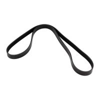 V-ribbed belt 6x1345 DAYCO