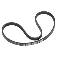 V-ribbed belt