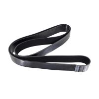 V-ribbed belt 12PK1925HD Dayco