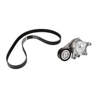 V-ribbed belt set PSA OE