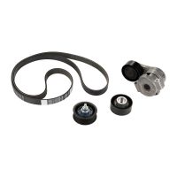 V-ribbed belt set PSA OE