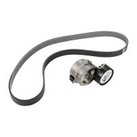 V-ribbed belt set PSA OE