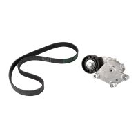 V-ribbed belt set PSA OE