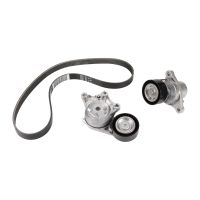 V-ribbed belt set PSA OE