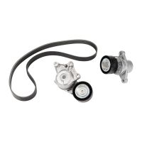 V-ribbed belt set PSA OE