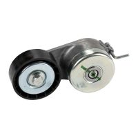 Flat belt tension pulley with clamping arm Dayco