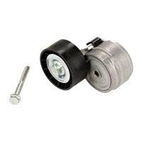 Flat belt idler pulley with tension arm DAYCO