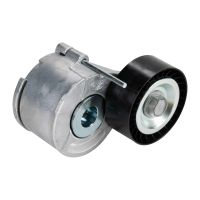 Tensioner pulley V-ribbed belt DAYCO