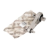 Rear torque arm motor