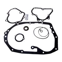 Getriebedichtsatz mit Wedi