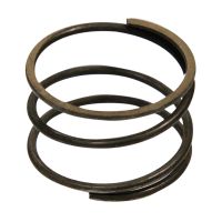 Getriebefeder hinten