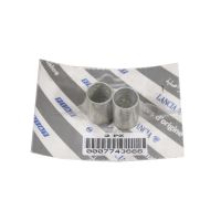 Bush for the transmission gears