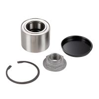 Rear wheel bearing set