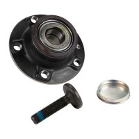 Wheel hub kit with rear wheel bearing