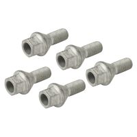 Wheel bolt set (5 pieces)
