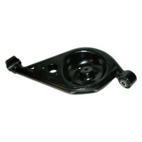 Swingarm rear left with spring plate