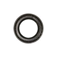 Differential bearing lateral right