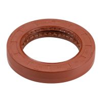 Oil seal rear axle entrance