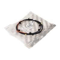 Rigid line on the right