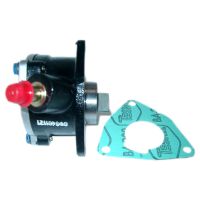 Vacuum pump for brake booster