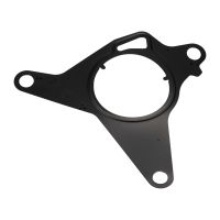 Seal for the vacuum pump