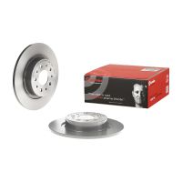Rear brake disc coated 264Ø