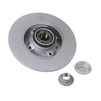 Brake disc rear SNR with wheel bearing+ABS