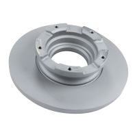 Brake disc rear full 308 mm Ø