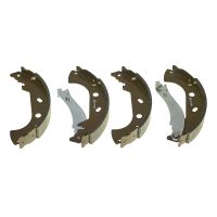 Rear brake shoe set