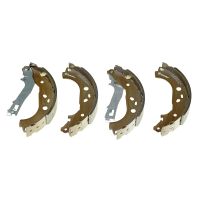 Brake shoe set with lever