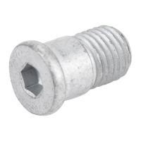 Centering pin for brake disc M10 X1.25