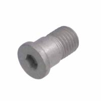 Centring pin for brake disc M10 x 1.25