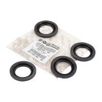 Spring kit for the brake caliper rear