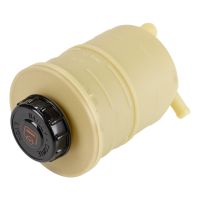 Power steering expansion tank