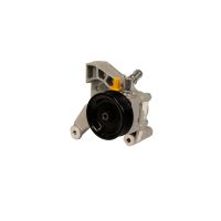 Power-steering pump