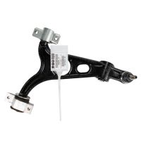 Wishbone in front left below