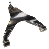 Wishbone front lower