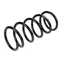 Coil spring in front
