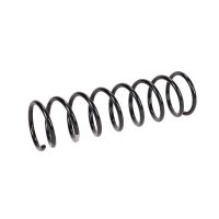 Coil spring in front
